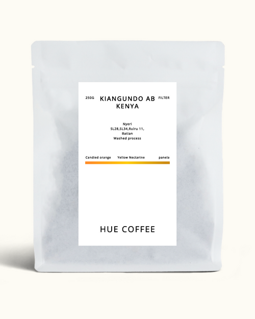 A matte white coffee pouch with a centered white label reading 'KIANGUNDO AB KENYA' and 'HUE COFFEE', photographed on a clean off-white background.